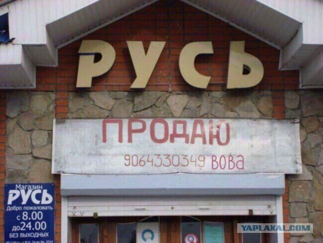 Скотсети и прочие интернеты 04.03.19