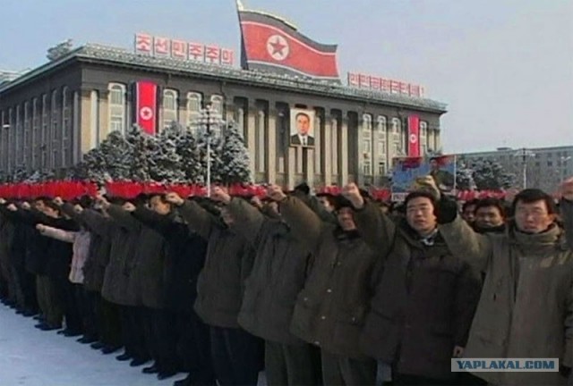 Обзор зимних луков