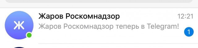 Глава Роскомнадзора Жаров завел Telegram