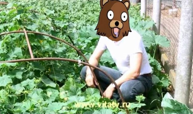 Дети огурцов