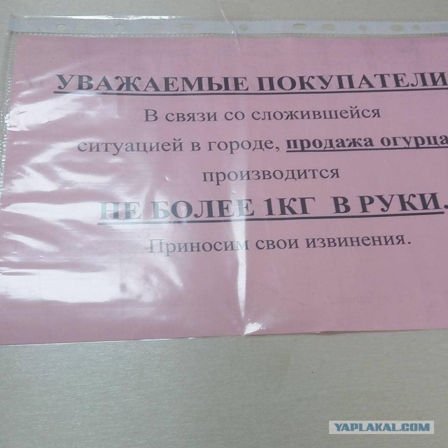 Из-за закрытия границы с Китаем на Дальнем Востоке — дефицит продуктов