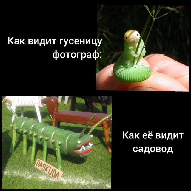 Бредзона 23.08.20