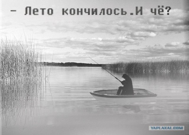 Битва фотожаберов: Лето кончилось