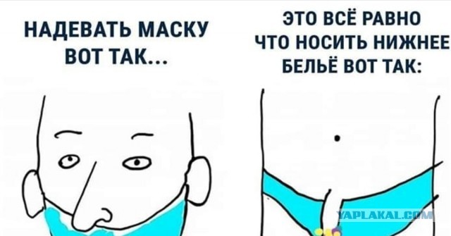 Самолет с депутатами Госдумы, летевшими в Петербург, задержали из-за ковид-диссидентки