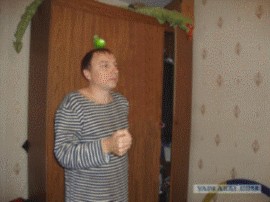 Правнук лейтенанта Шмидта