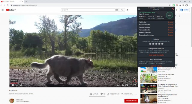 Роскомнадзор пригрозил замедлить Facebook, Instagram и YouTube