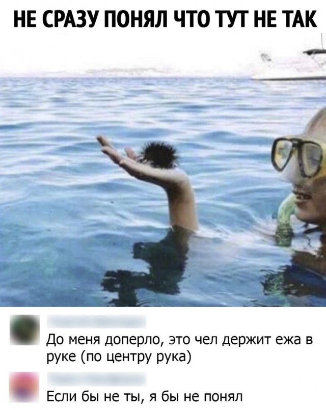 Так себе картинки 07.05.21
