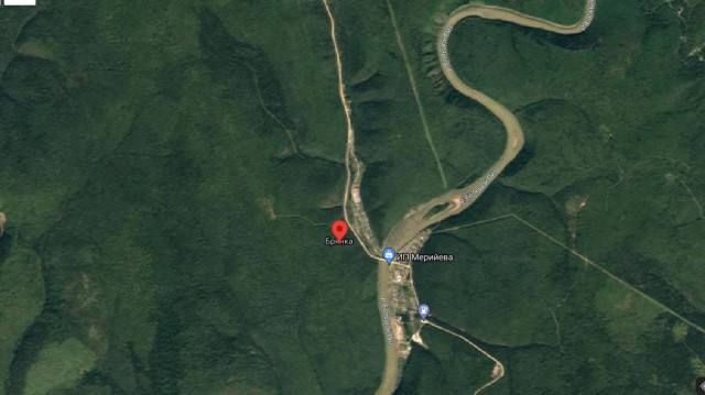 Полицейский из поселка Брянка на севере Красноярского края спас школьницу, в упор расстреляв преследовавшего ее медведя