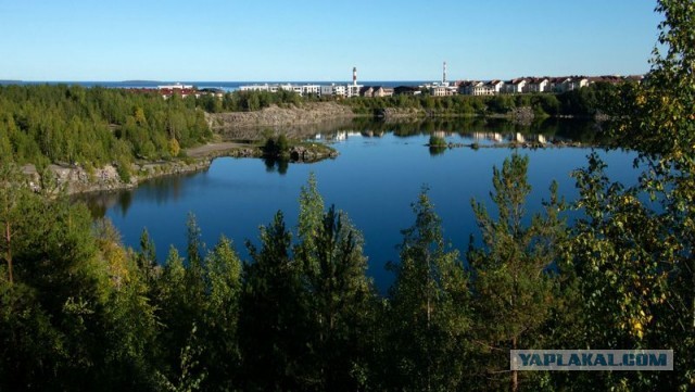 Просим помощи у ЯП-сообщества! Администрация Петрозаводска уничтожает красивейший парк "Каменный Бор"!