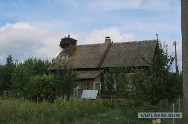 Деревни в глубинке Беларуси. Жизнь в Полесье