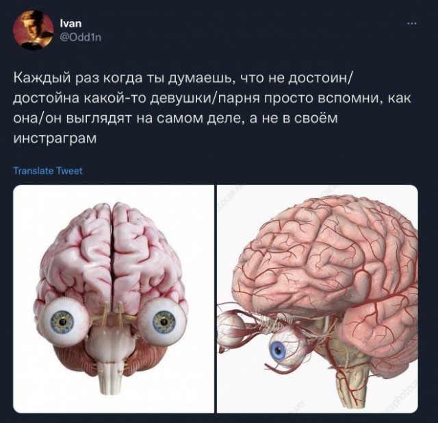 Картинки и мемы для настроения 22.11.2021