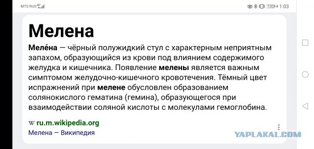 Не шучу
