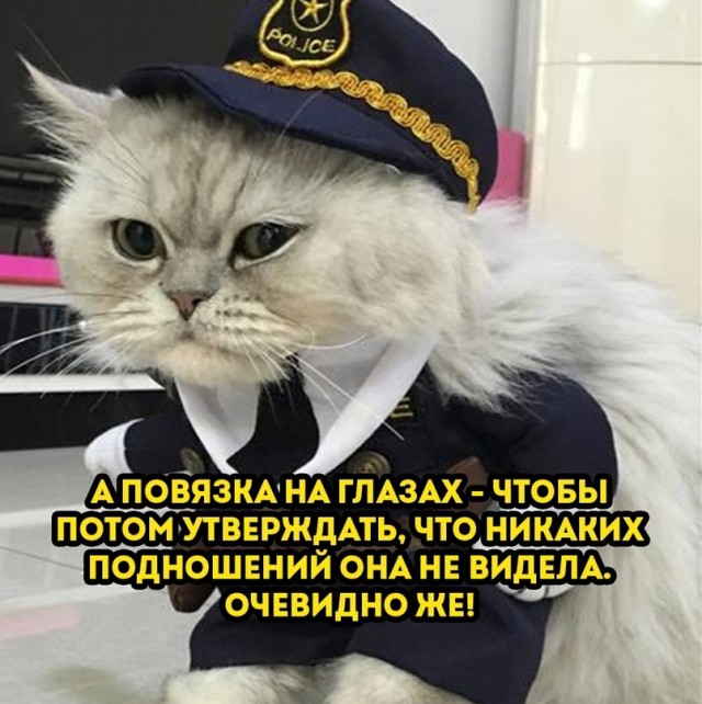 Всяческие картинки 17.01.2022