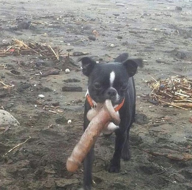 Двойные стандарты