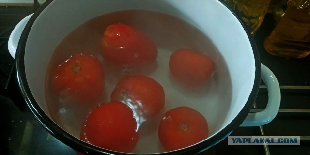Баба с возу – волки сыты.