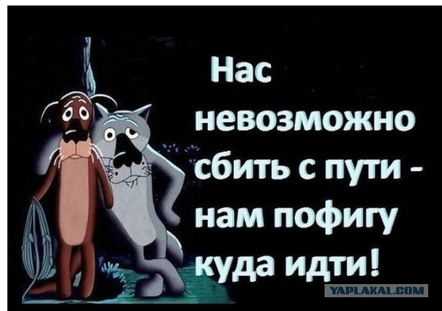 Нас выхолащивают