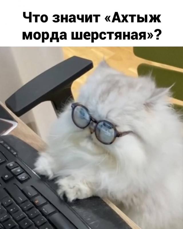 Так себе картинки 15.04.22