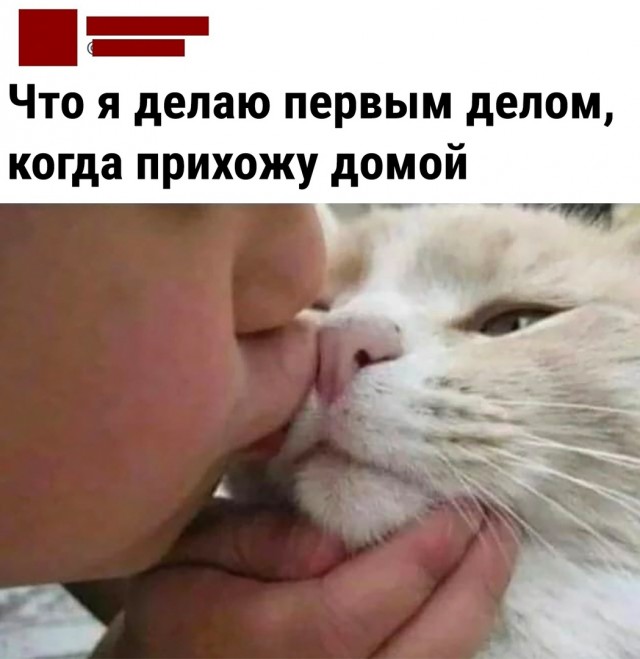 Так себе картинки 29.04.22