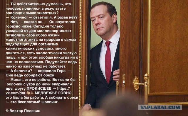 «Они нас ненавидят»: Медведев об отношении Запада к россиянам