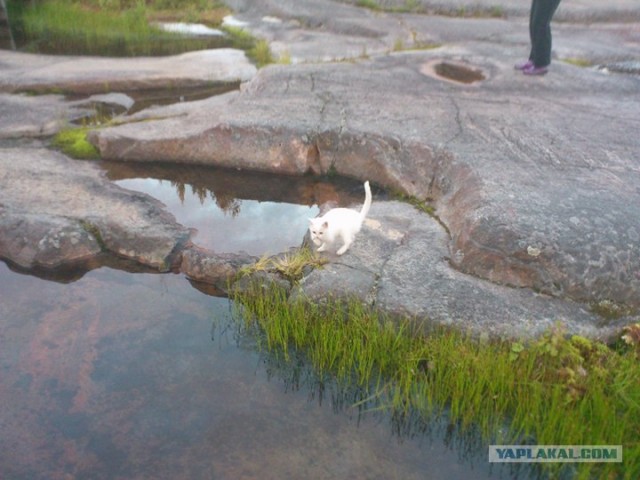 Русский север