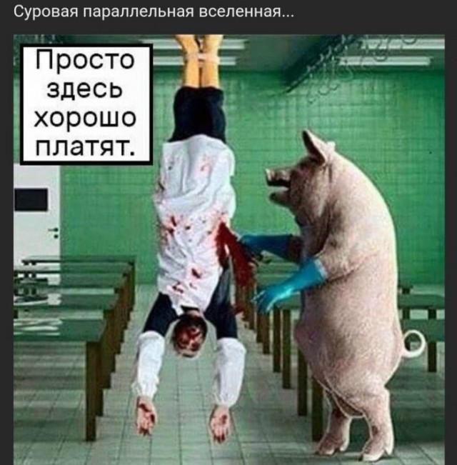 Картинки и мемы для настроения - 21