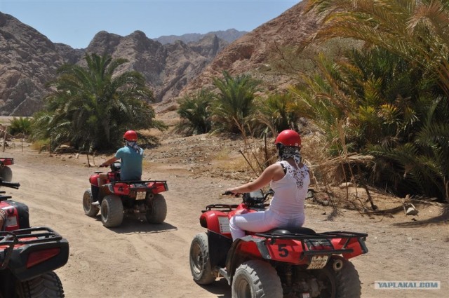 Как я ездил в Египет