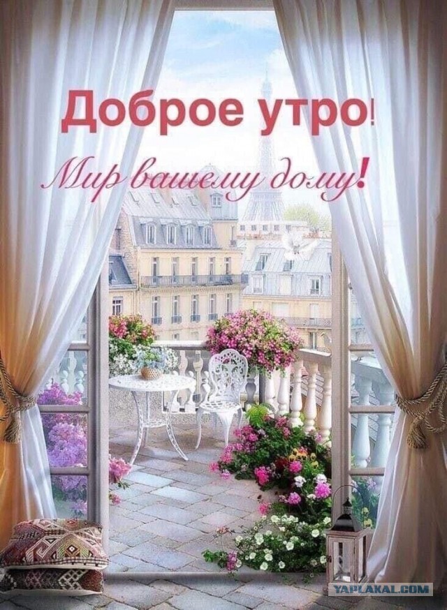 Победная поступь идиотизма по планете – том 2