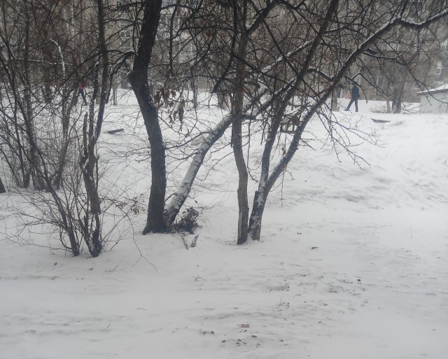 Ну вот и перелом