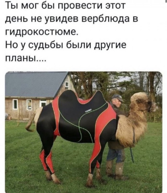 Немного картинок для настроения - 131