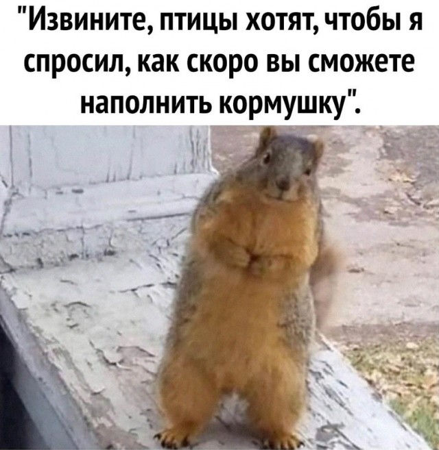 Картинки и мемы. Выходные близко...