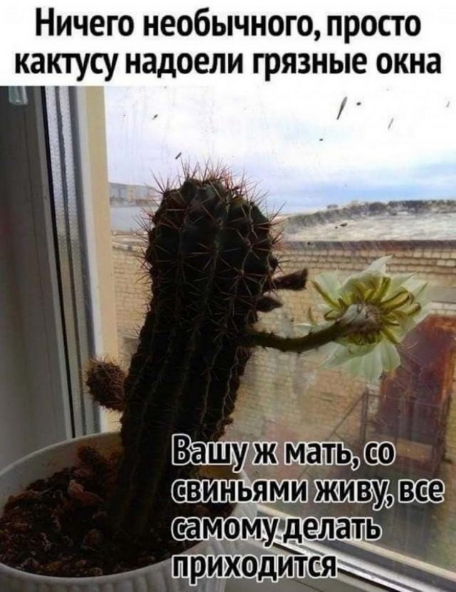 Картинок разной степени @банутости псто №2