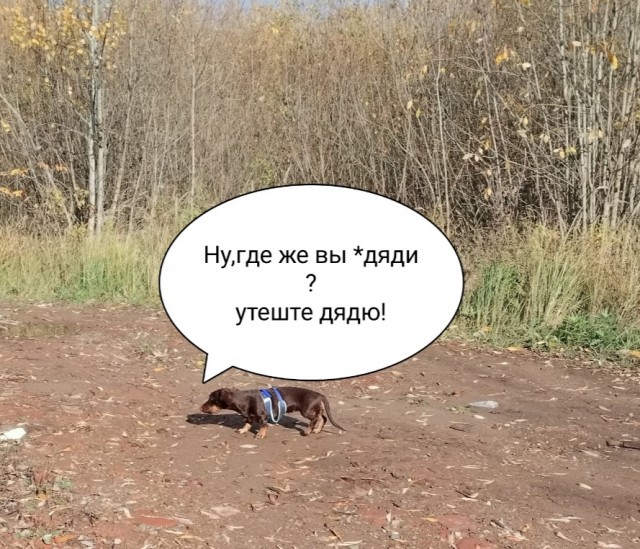 Пьющая красавица: мифы и правда о женском алкоголизме