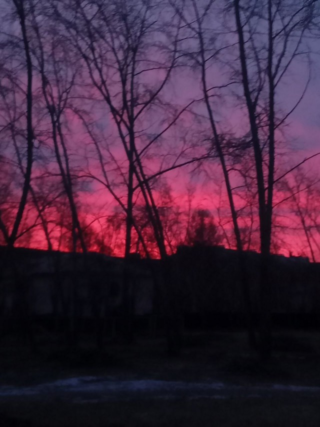Химия и жизнь