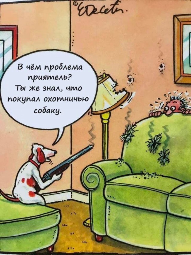 Всего понемногу. От 20.12
