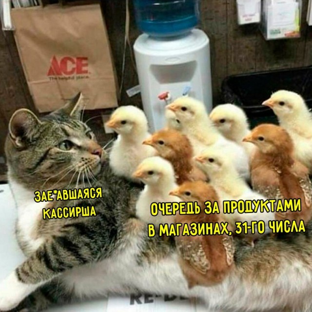 Весёлый полтишок 02.01.24