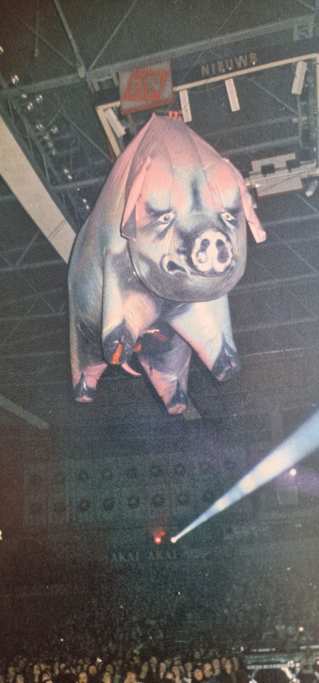 Музыка и музыканты: Pink Floyd "Animals"