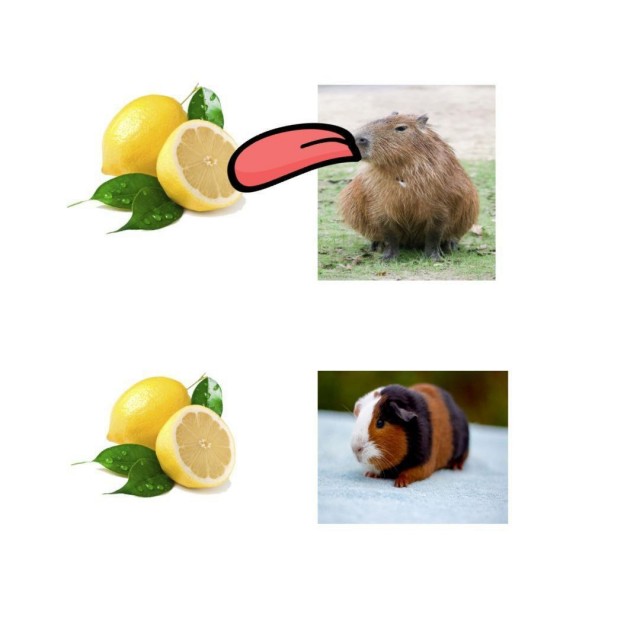 Никакие картинки