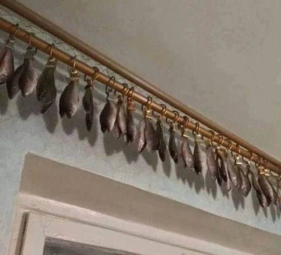 Немного забавных картинок от 23.10.2024