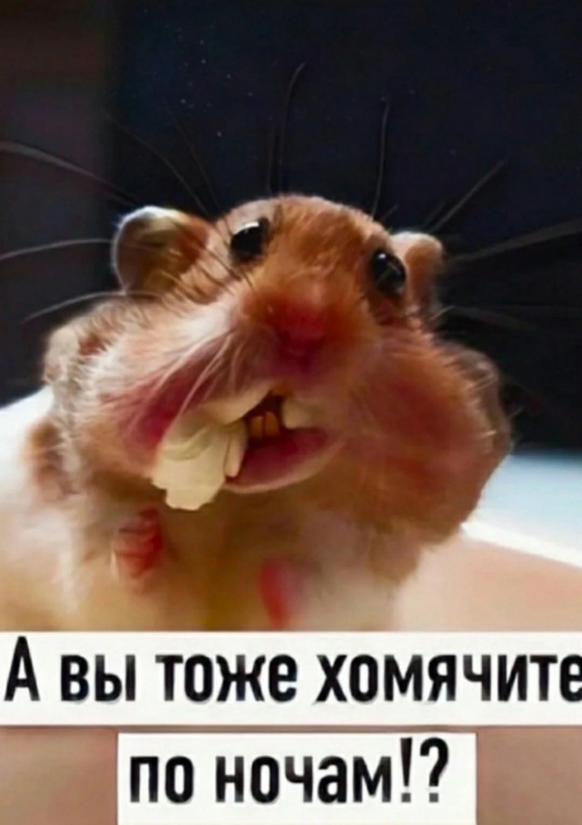 Так себе картинки 27.10.24