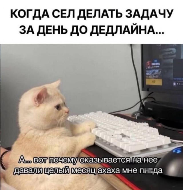 Веселые картинки в маленькую пятницу (12.02)