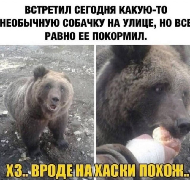 Картинки разные с надписями и без
