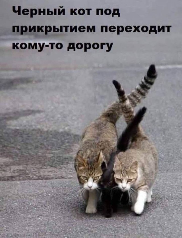 Картинки со стишками депресняшками - 10