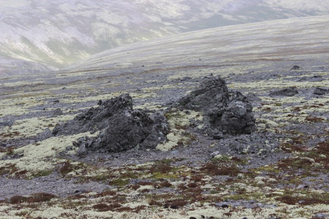 Хибины, 2012