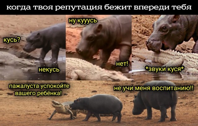 Маленькая пятница 21.05.25