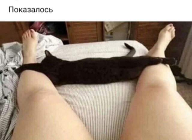 Так себе картинки 01.07.25