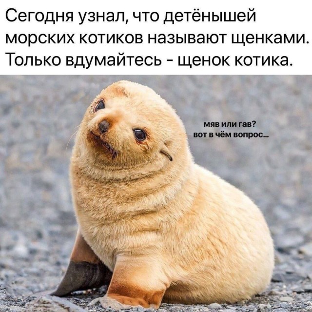 Так себе картинки 04.07.25