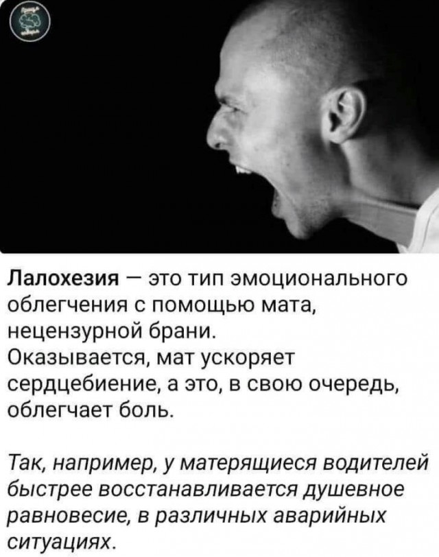 Пополняем словарный запас