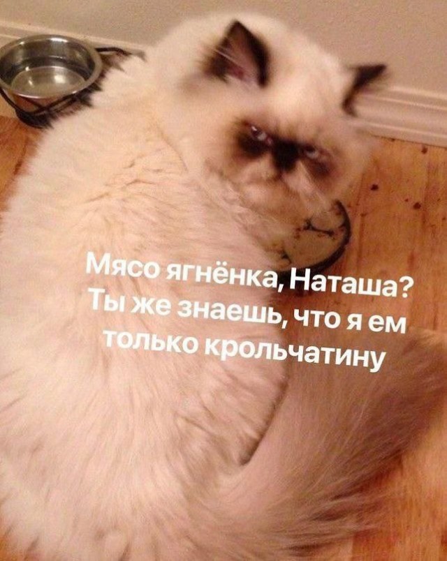 Кореш