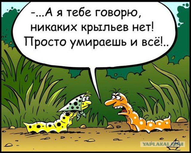 Любящие христиане