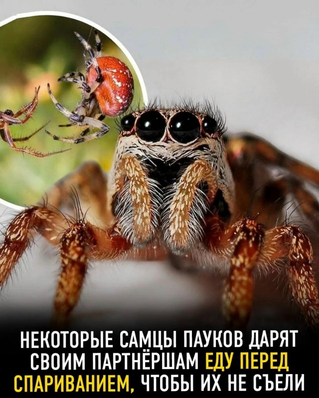 Так себе картинки 01.09.25